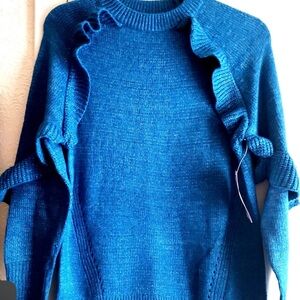 Source Unknown Vibrant Blue Women's Sweater